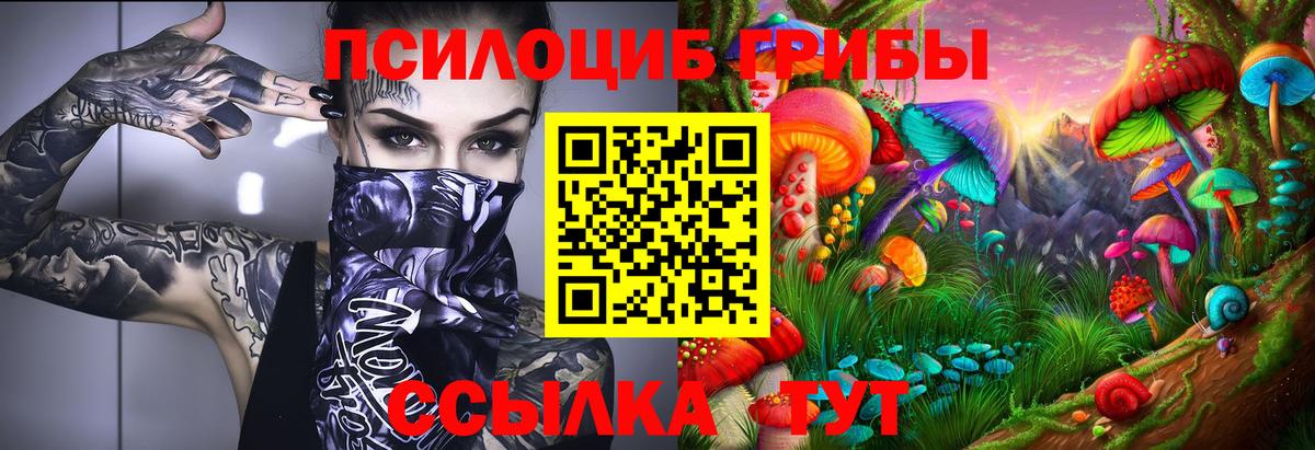 Псилоцибиновые грибы GOLDEN TEACHER Егорьевск
